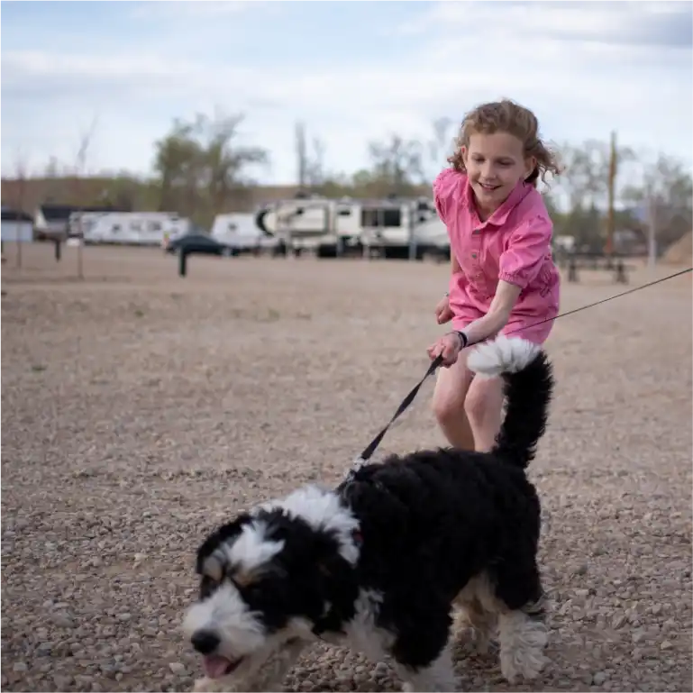 Dog walking girl